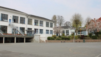 Elles bougent en Primaire - Rue de Namur